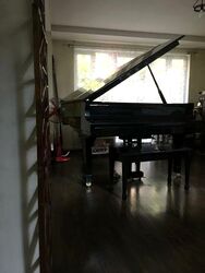Dunearn Road (D11), Detached #624918521